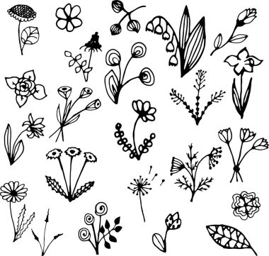 Otlar ve kır çiçekleri