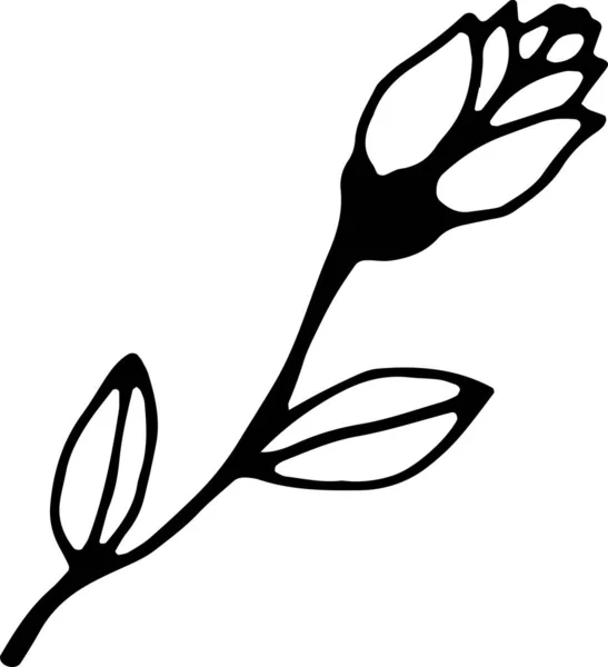Hand Drawn Sketch Rose Flower — Stock vektor