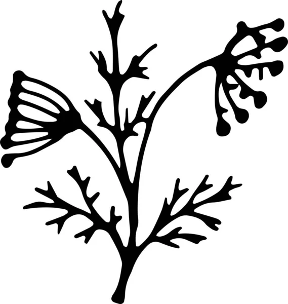 Άνθη Άνηθου Μάραθου — Διανυσματικό Αρχείο