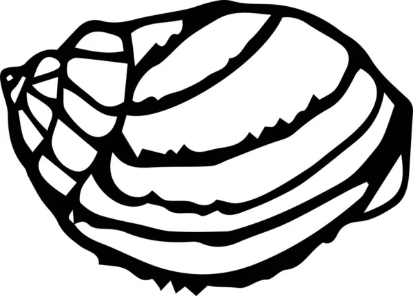 手绘海贝壳 — 图库矢量图片