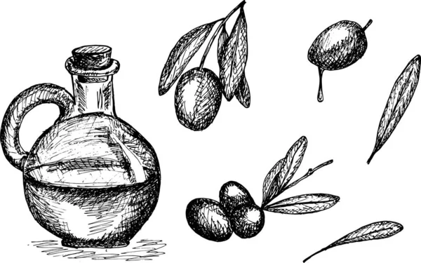 Olives Vertes Fraîches Biologiques — Image vectorielle
