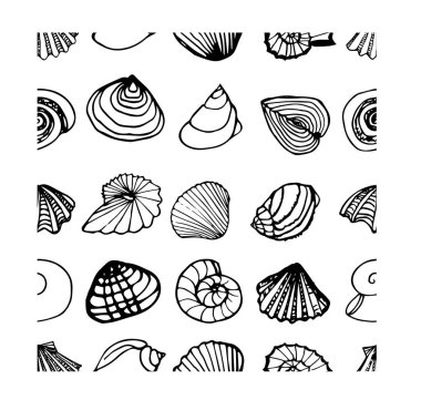 Deniz kabukları el çizimi