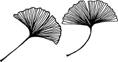 Hindistan cevizi elle boğulur.