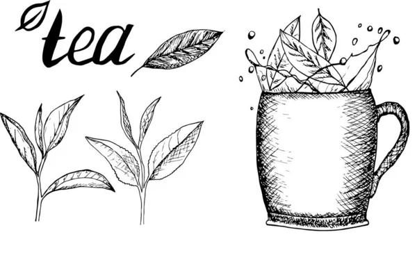 Conjunto Com Folhas Chá Verde Xícara — Vetor de Stock