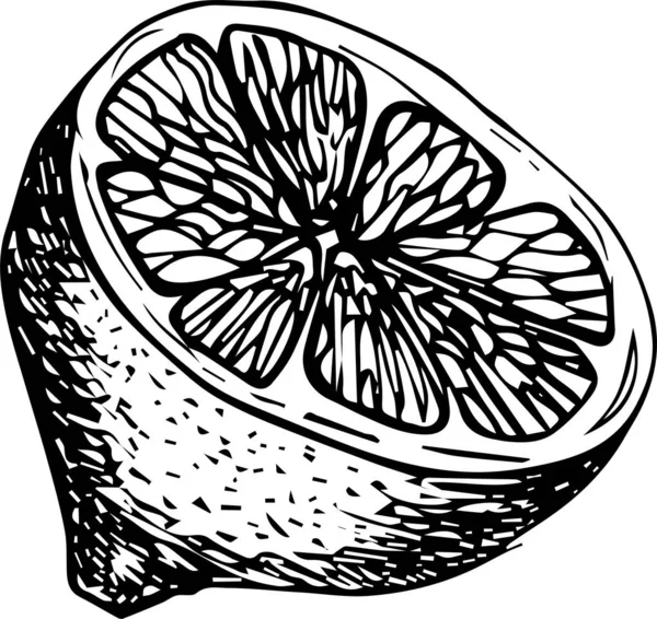 Illustration Vectorielle Dessinée Main Citron — Image vectorielle