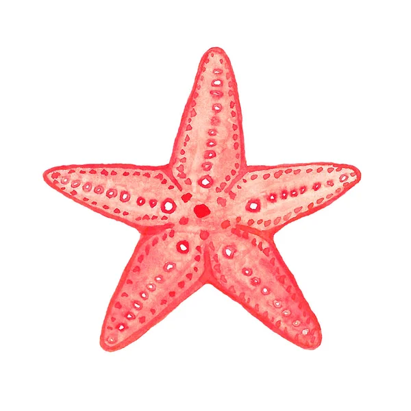 Estrella Mar Roja Acuarela Ilustración Sobre Fondo Blanco —  Fotos de Stock