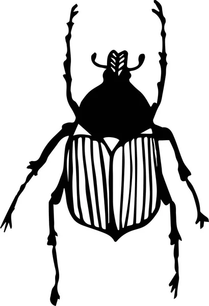 Bug Een Witte Achtergrond — Stockvector