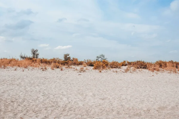 Mavi gökyüzünde beyaz bulutlar, çimenler ve kumlar.