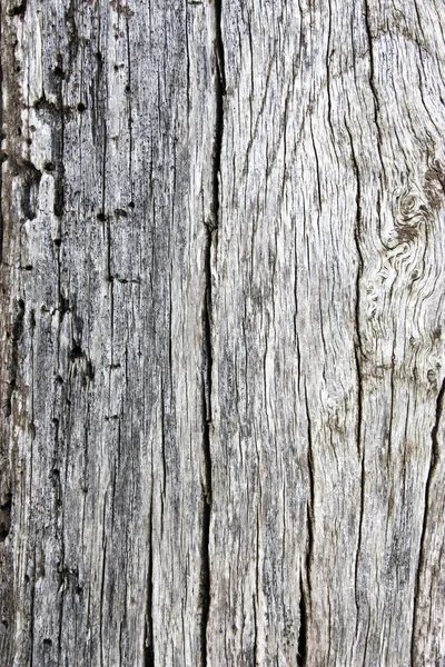 Grey Old Wood Texture Background — Stockfoto