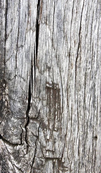 Natural Wooden Background Old Cracked Wood — Stock Photo, Image