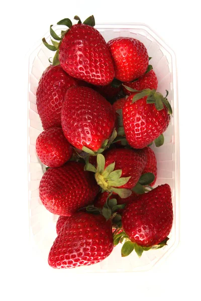 Fraises Rouges Fraîches Dans Récipient Plastique Sur Fond Blanc — Photo