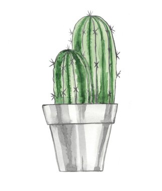 Tencerede kaktüs. Kart, kartpostal, davetiye, selamlama, şablon. Beyaz arkaplanda suluboya çizimi.