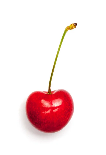 Single Sweet Cherry Stem Leaf White — Stock Photo, Image