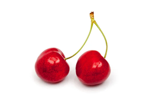 Two Sweet Cherry Stem Leaf White — Stock Photo, Image