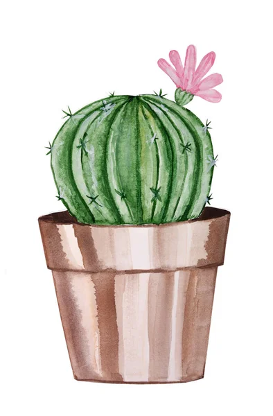 Kaktus Topf Pflanze Für Karte Postkarte Einladung Gruß Muster Aquarell — Stockfoto