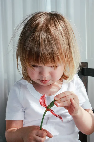 Klein Meisje Een Wit Shirt Kijkt Naar Een Rode Bloem — Stockfoto