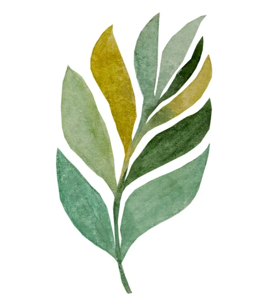 Abstract Tropical Leaf Hand Drawn Watercolor — Zdjęcie stockowe