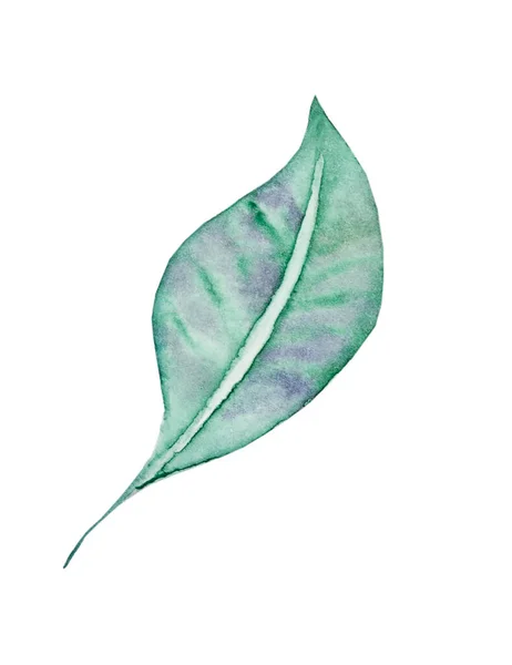 Abstract Tropical Leaf Hand Drawn Watercolor — Stockfoto