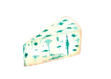 Watercolor blue cheese on a white background