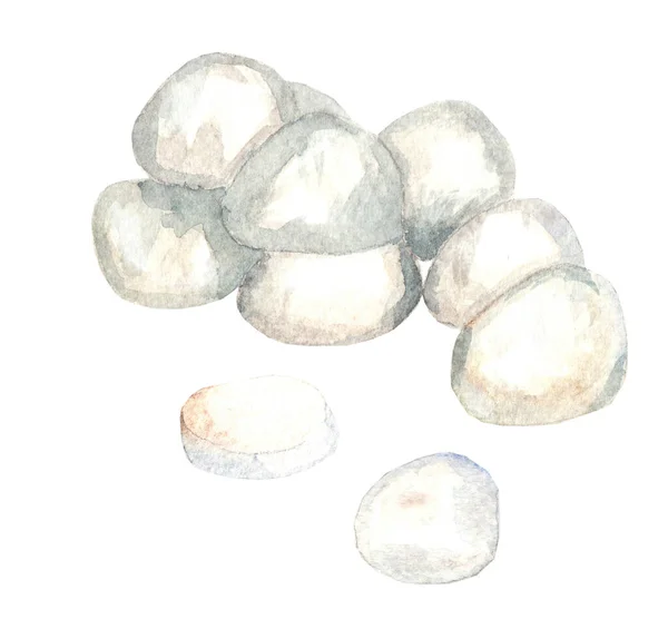 Small Pieces Mozzarella Watercolor Illustration White Background — Foto Stock