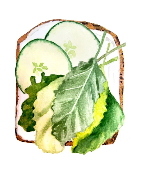 Breakfast Cereal Bread Sandwiches Cream Cheese Sliced Cucumber Lettuce Watercolor — Foto de Stock