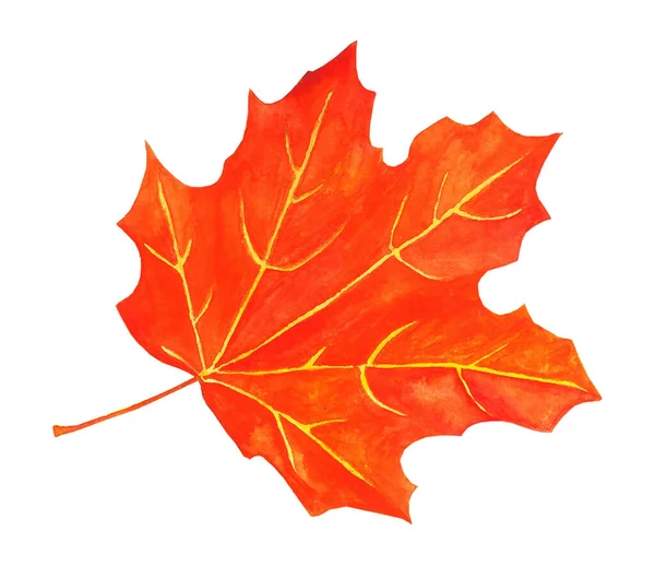 Akvarel Javorový Podzimní List Sezónní Dekorativní Krásné Multi Barevné Ruční — Stock fotografie