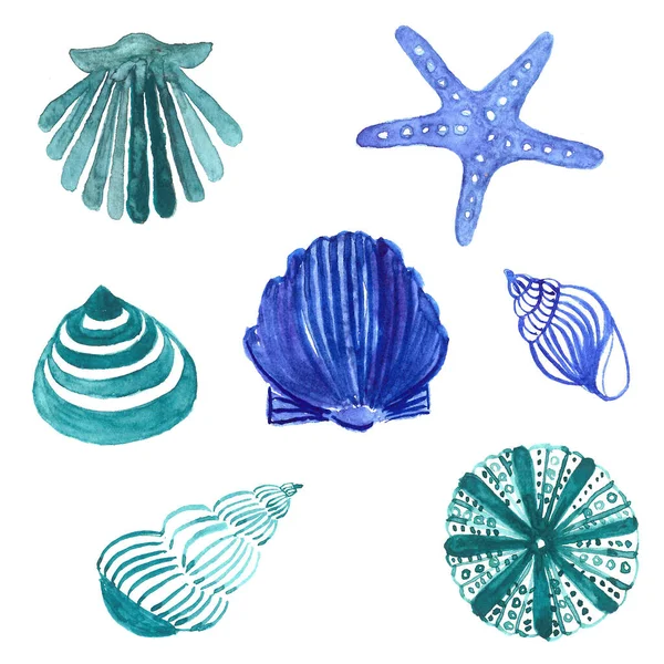 Seashells Aquarela Conjunto Isolado Fundo Branco Seashells Com Estrelas Vida — Fotografia de Stock