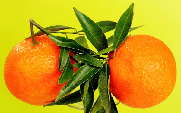 Two oranges — Stock Photo, Image