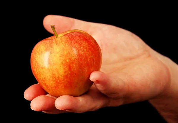 Manzana madura en su mano . —  Fotos de Stock