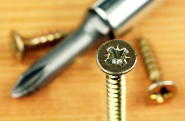 tornavida ve vidalar.