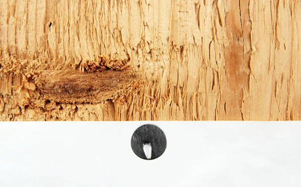 Broche dans une planche en bois . — Photo