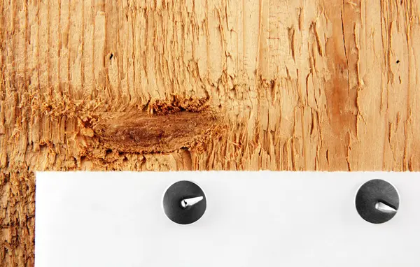 Punaise in een houten plank. — Stockfoto