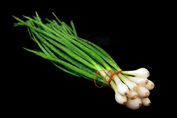 Färsk grön lök. — Stockfoto