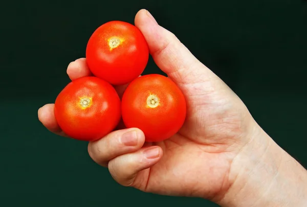 Tomates vermelhos na mão . — Fotografia de Stock