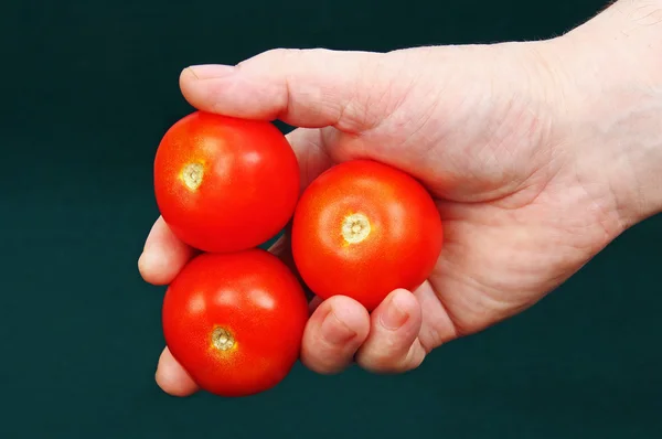 Tomates vermelhos na mão . — Fotografia de Stock