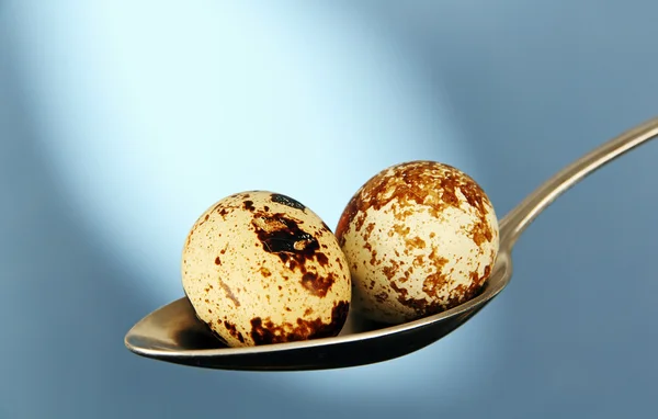 Dos huevos de codorniz en la cuchara . — Foto de Stock