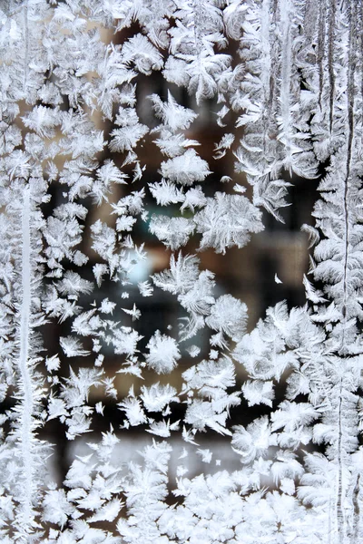 Frost auf dem Glas. — Stockfoto