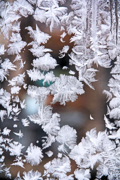 Frost on the glass. — Stock Photo, Image
