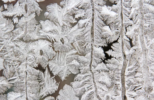 Frost on the glass. — Stock Photo, Image