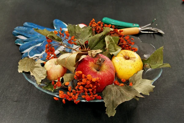 apples and dried bunches of rowan.