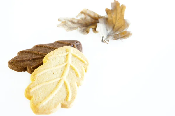 Autumn cookies — Stock Photo, Image