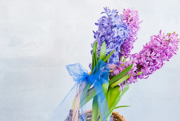 Hyacinty v košíku — Stock fotografie