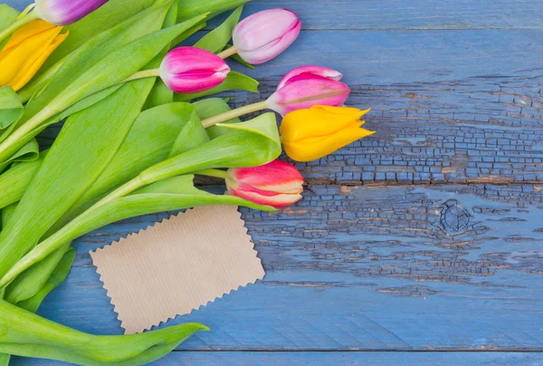 Аромат разноцветных тюльпанов — стоковое фото