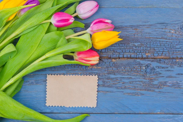 Bouquet av fargerike tulipaner – stockfoto