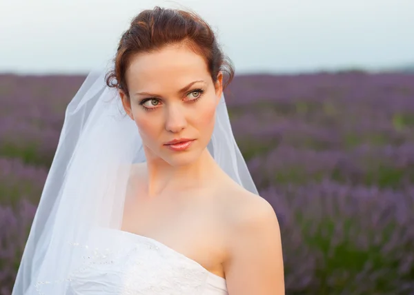 Retrato de uma noiva em um campo de lavanda — Fotografia de Stock