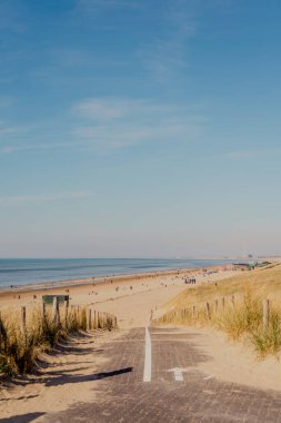 Kuzey Denizi üzerinde Hollanda 'da bir sahil..