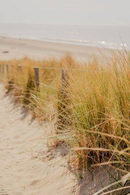 Kuzey Denizi üzerinde Hollanda 'da bir sahil..