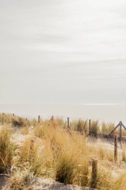 Kuzey Denizi üzerinde Hollanda 'da bir sahil..