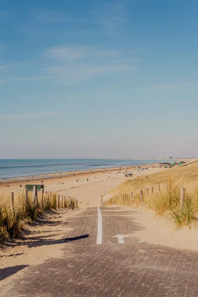 Beach Netherlands North Sea —  Fotos de Stock