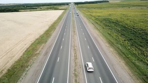 Séquences vidéo : Autoroute en Russie en juillet 2021. 4K — Video